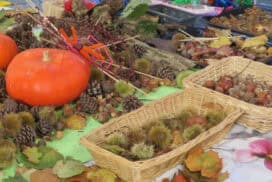 Kinderactiviteit: Herfstcollage