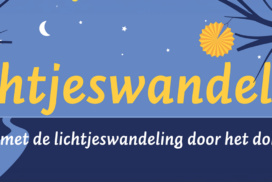 Lichtjeswandeling: winteruitstapje met lampions door het donkere bos